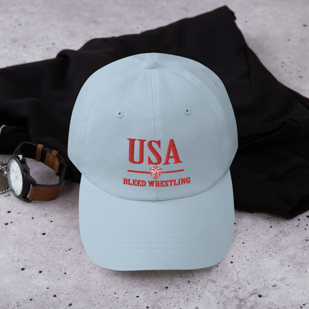 Baseball Hat