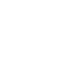 Bleed Nation 