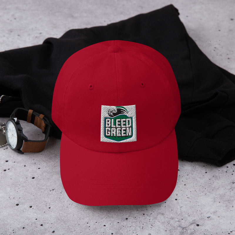 Baseball Hat