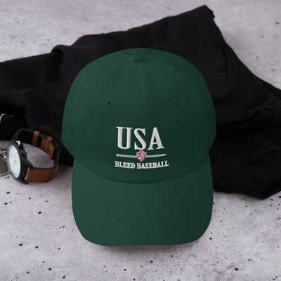 Baseball Hat